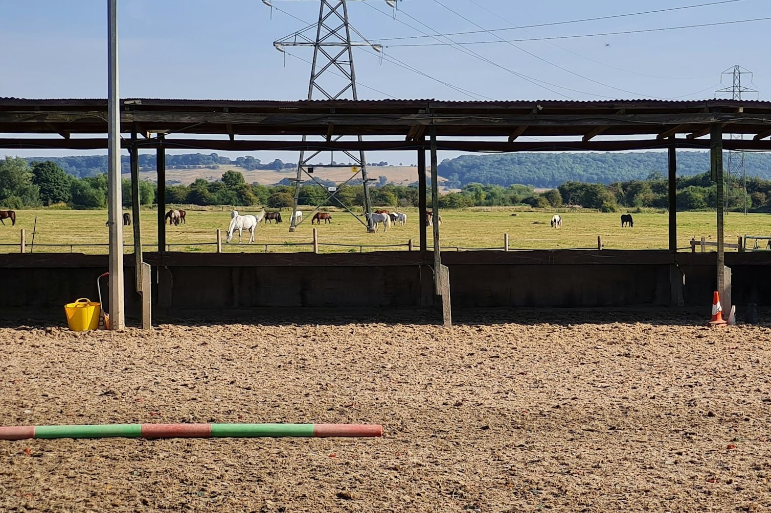 Fun Ground Work Activities to Do with Your Horse