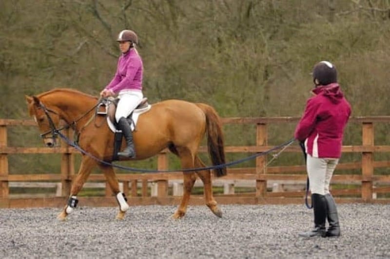 No Stirrup November: Saddle Up for Strength (and Safety)