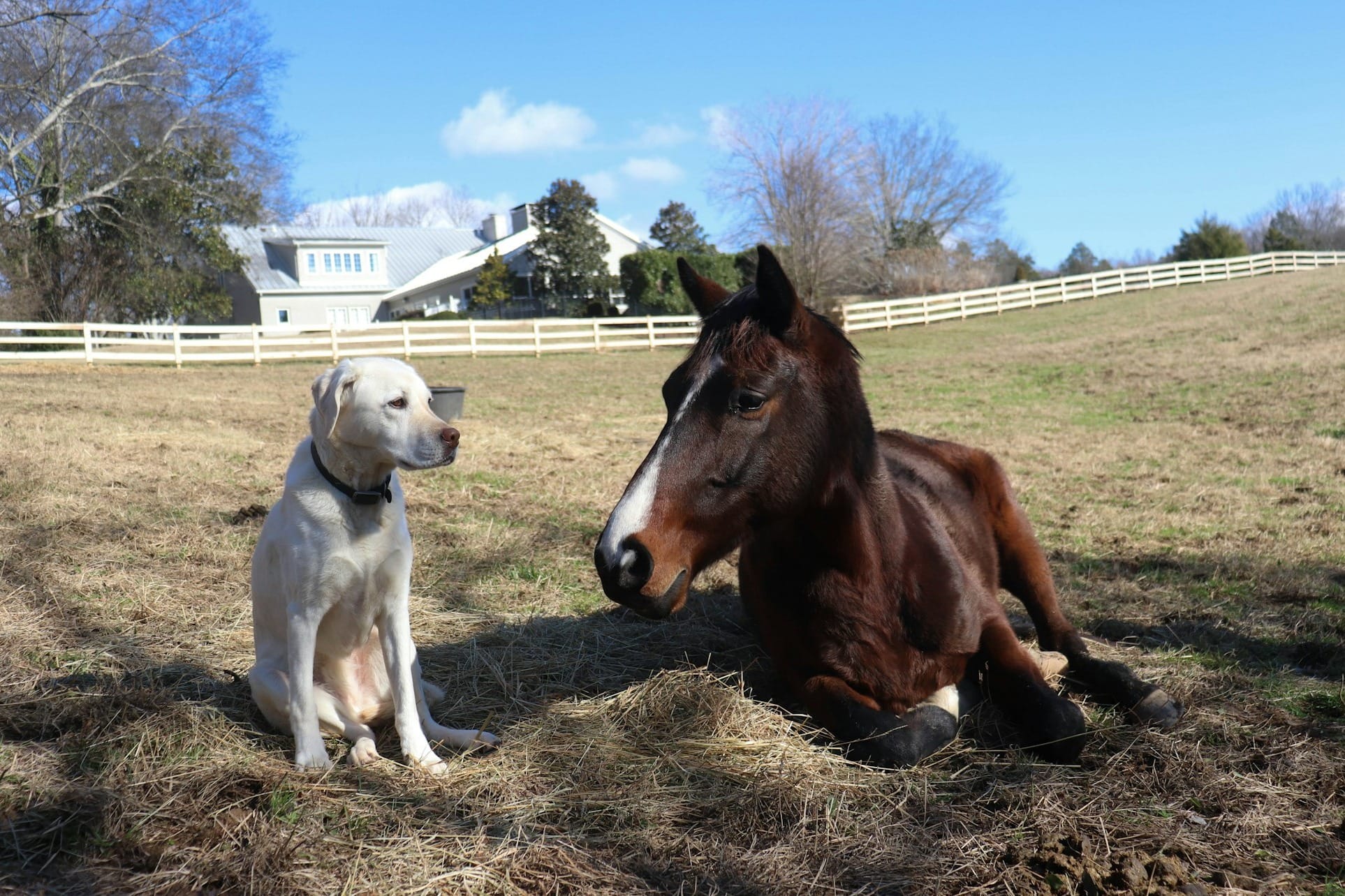Why the Equestrian Community Is More Than Just Horses