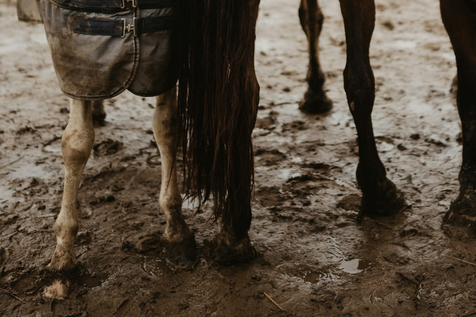 Tackling Mud at the Barn