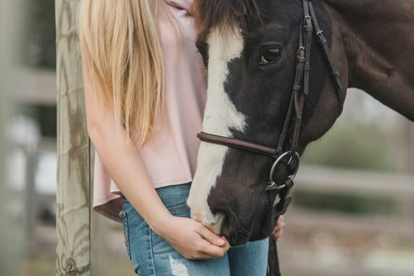 Green Horse, Nervous Rider: Building Confidence Together